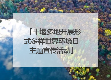 十堰多地开展形式多样世界环境日主题宣传活动