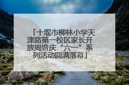 十堰市柳林小学天津路第一校区家长开放周暨庆“六一”系列活动圆满落幕