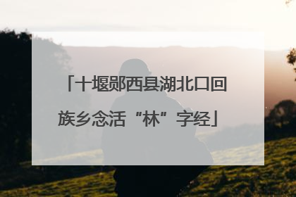 十堰郧西县湖北口回族乡念活“林”字经