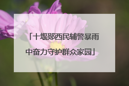十堰郧西民辅警暴雨中奋力守护群众家园