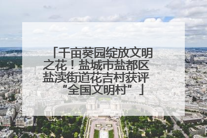 千亩葵园绽放文明之花！盐城市盐都区盐渎街道花吉村获评“全国文明村”