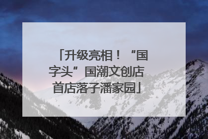 升级亮相！“国字头”国潮文创店首店落子潘家园