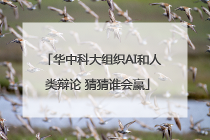 华中科大组织AI和人类辩论 猜猜谁会赢