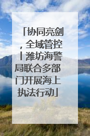 协同亮剑，全域管控丨潍坊海警局联合多部门开展海上执法行动