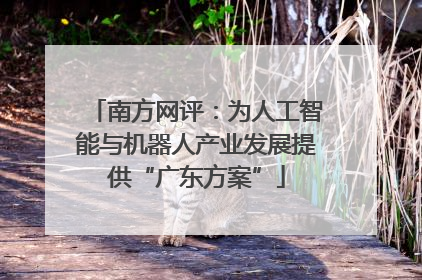 南方网评：为人工智能与机器人产业发展提供“广东方案”