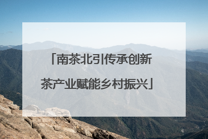 南茶北引传承创新 茶产业赋能乡村振兴