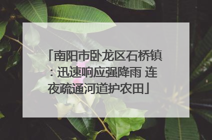 南阳市卧龙区石桥镇：迅速响应强降雨 连夜疏通河道护农田