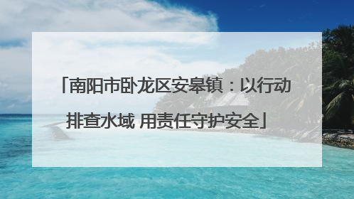 南阳市卧龙区安皋镇：以行动排查水域 用责任守护安全