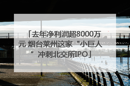 去年净利润超8000万元 烟台莱州这家“小巨人”冲刺北交所IPO