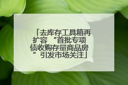 去库存工具箱再扩容 “首批专项债收购存量商品房”引发市场关注