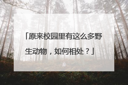 原来校园里有这么多野生动物，如何相处？