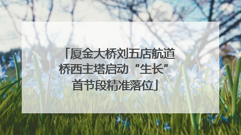 厦金大桥刘五店航道桥西主塔启动“生长” 首节段精准落位