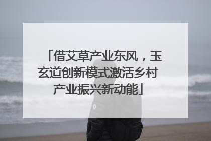借艾草产业东风，玉玄道创新模式激活乡村产业振兴新动能