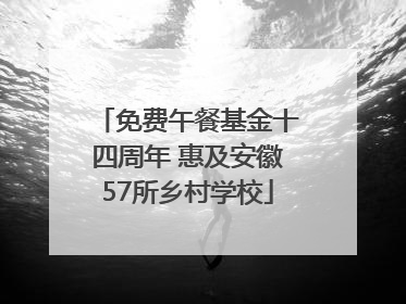 免费午餐基金十四周年 惠及安徽57所乡村学校