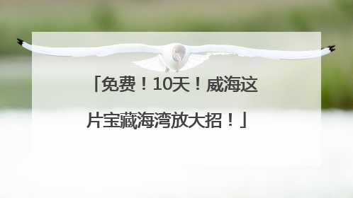 免费！10天！威海这片宝藏海湾放大招！