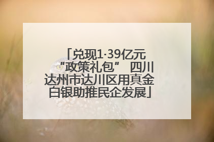 兑现1·39亿元“政策礼包” 四川达州市达川区用真金白银助推民企发展