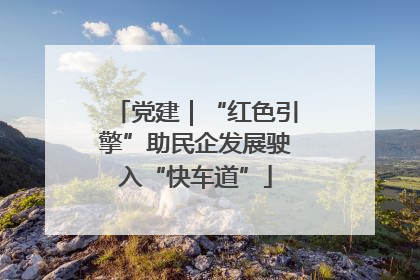 党建｜“红色引擎”助民企发展驶入“快车道”