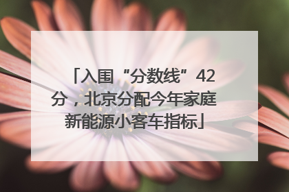 入围“分数线”42分，北京分配今年家庭新能源小客车指标