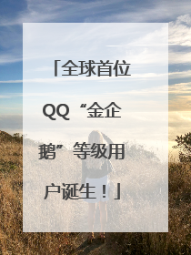 全球首位QQ“金企鹅”等级用户诞生！