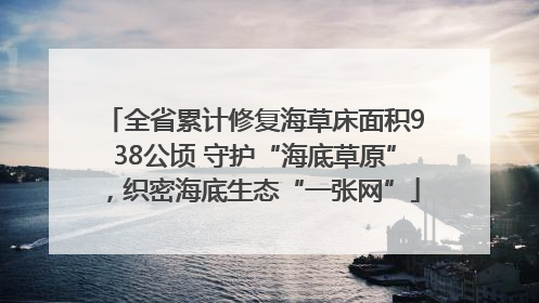 全省累计修复海草床面积938公顷 守护“海底草原”，织密海底生态“一张网”