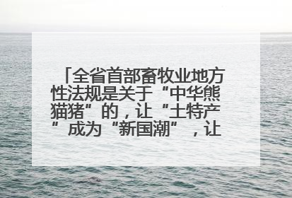 全省首部畜牧业地方性法规是关于“中华熊猫猪”的，让“土特产”成为“新国潮”，让“农产品”升格为“城市IP”