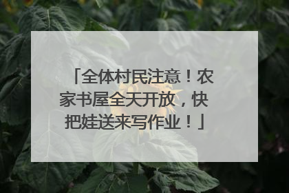 全体村民注意！农家书屋全天开放，快把娃送来写作业！