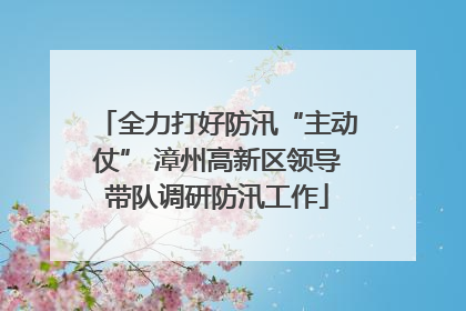 全力打好防汛“主动仗” 漳州高新区领导带队调研防汛工作