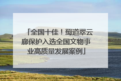 全国十佳！蜀道翠云廊保护入选全国文物事业高质量发展案例