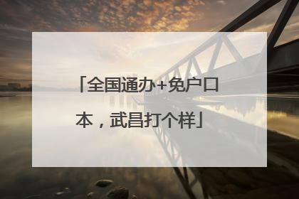 全国通办+免户口本，武昌打个样