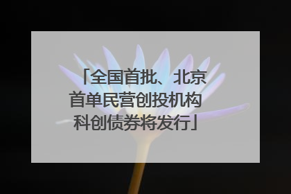 全国首批、北京首单民营创投机构科创债券将发行