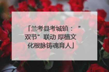 兰考县考城镇：“双节”联动 厚植文化根脉铸魂育人