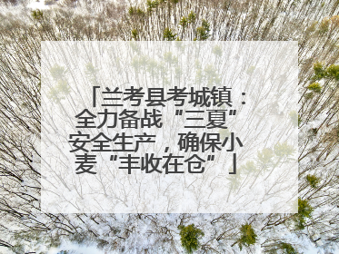 兰考县考城镇：全力备战“三夏”安全生产，确保小麦“丰收在仓”