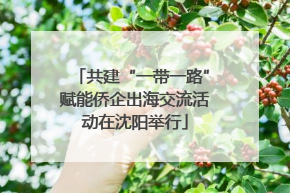 共建“一带一路”赋能侨企出海交流活动在沈阳举行