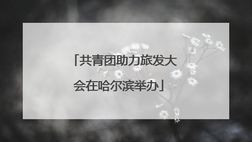 共青团助力旅发大会在哈尔滨举办
