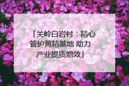 关岭白岩村：精心管护黄精基地 助力产业提质增效