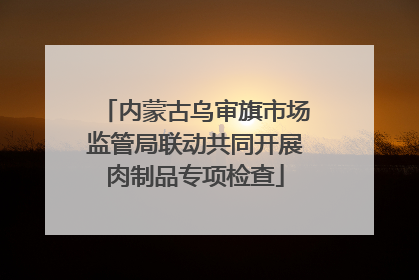 内蒙古乌审旗市场监管局联动共同开展肉制品专项检查