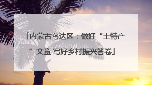 内蒙古乌达区：做好“土特产”文章 写好乡村振兴答卷