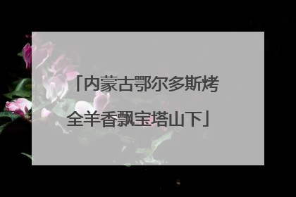内蒙古鄂尔多斯烤全羊香飘宝塔山下