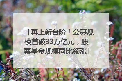 再上新台阶！公募规模首破33万亿元，股票基金规模同比领涨