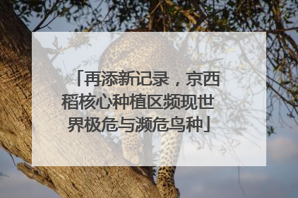 再添新记录，京西稻核心种植区频现世界极危与濒危鸟种