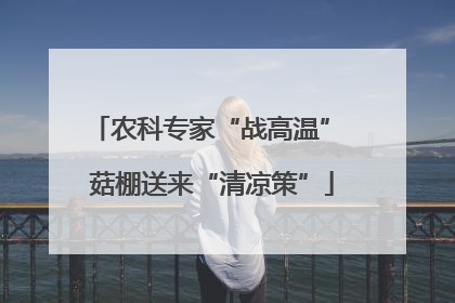 农科专家“战高温” 菇棚送来“清凉策”