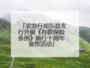 农发行祁东县支行开展《存款保险条例》施行十周年宣传活动