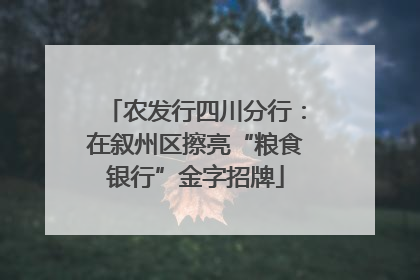 农发行四川分行：在叙州区擦亮“粮食银行”金字招牌