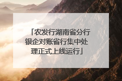 农发行湖南省分行银企对账省行集中处理正式上线运行