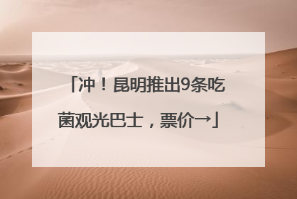 冲！昆明推出9条吃菌观光巴士，票价→