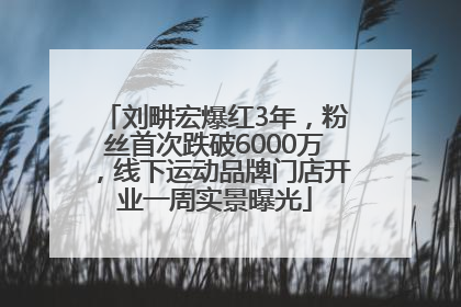 刘畊宏爆红3年，粉丝首次跌破6000万，线下运动品牌门店开业一周实景曝光
