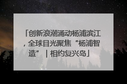 创新浪潮涌动杨浦滨江，全球目光聚焦“杨浦智造”｜相约复兴岛