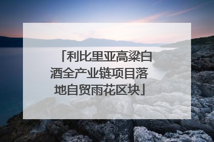利比里亚高粱白酒全产业链项目落地自贸雨花区块