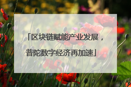 区块链赋能产业发展，普陀数字经济再加速
