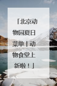 北京动物园夏日菜单丨动物食堂上新啦！